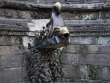 Kathmandu Bhaktapur 05-2 Bhaktapur Durbar Square Naga Pokhari Goats Head Water Spout Water pours from a goat�s head that protrudes from the mouth of a crocodile demon in the Naga Pokhari in the Palace of 55 Windows in Bhaktapur�s Durbar Square.